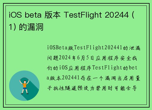 iOS beta 版本 TestFlight 20244 (1) 的漏洞 